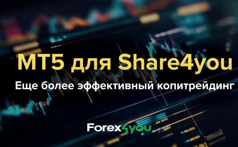 mt5-share4you